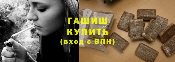 стафф Осинники