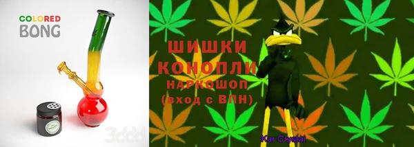стафф Осинники