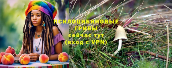 стафф Осинники