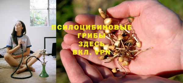 прущий лед Пересвет