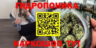 ешки Абакан
