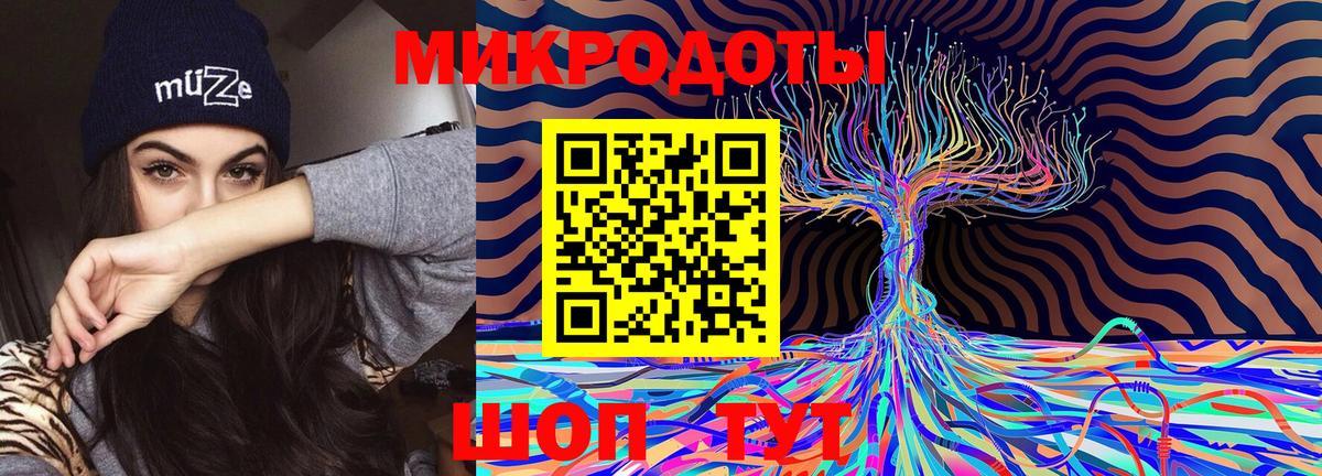 Галлюциногенные грибы Psilocybe Богородск
